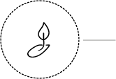Baumwollsamen